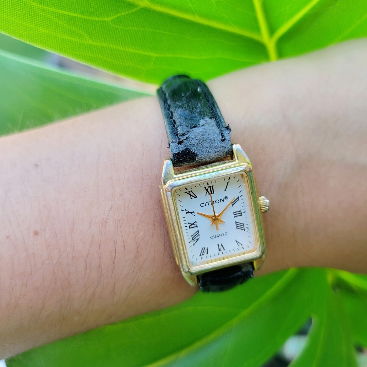 Vintage Citron Quartz Roman Numerals Classic Watch | eBay