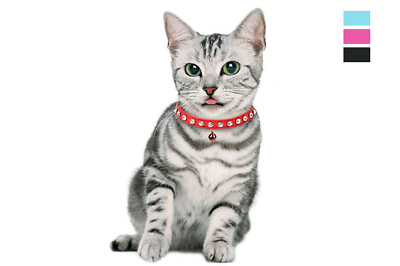 Collari E Cinturini Per Cani Taglia Piccola Con Gioiello, In Raso - Foto 8