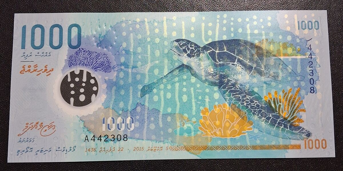 1000 rufiyaa Maldives turtle polymer banknote | eBay 1000 rufiyaa Maldives turtle polymer banknote | eBay