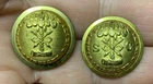 South Carolina Post Civil War Coat Buttons