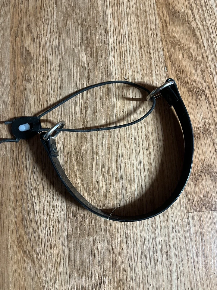 Bungie dog collar - Image 2 of 2