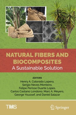 Henry A. Colorado Lopera (u. a.) | Natural Fibers and Biocomposites | Buch | xvi