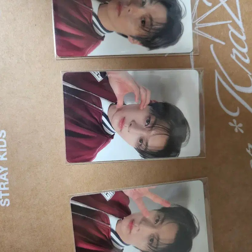 Stray Kids Lee Know Dior Icon - Pre-Owned, Sealed