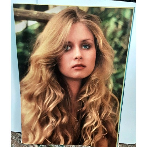 Karen Morton Playboy July 1978 Feature with Full Centerfold Pullout | eBay