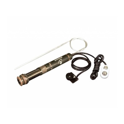 NEW LR Baggs Element System