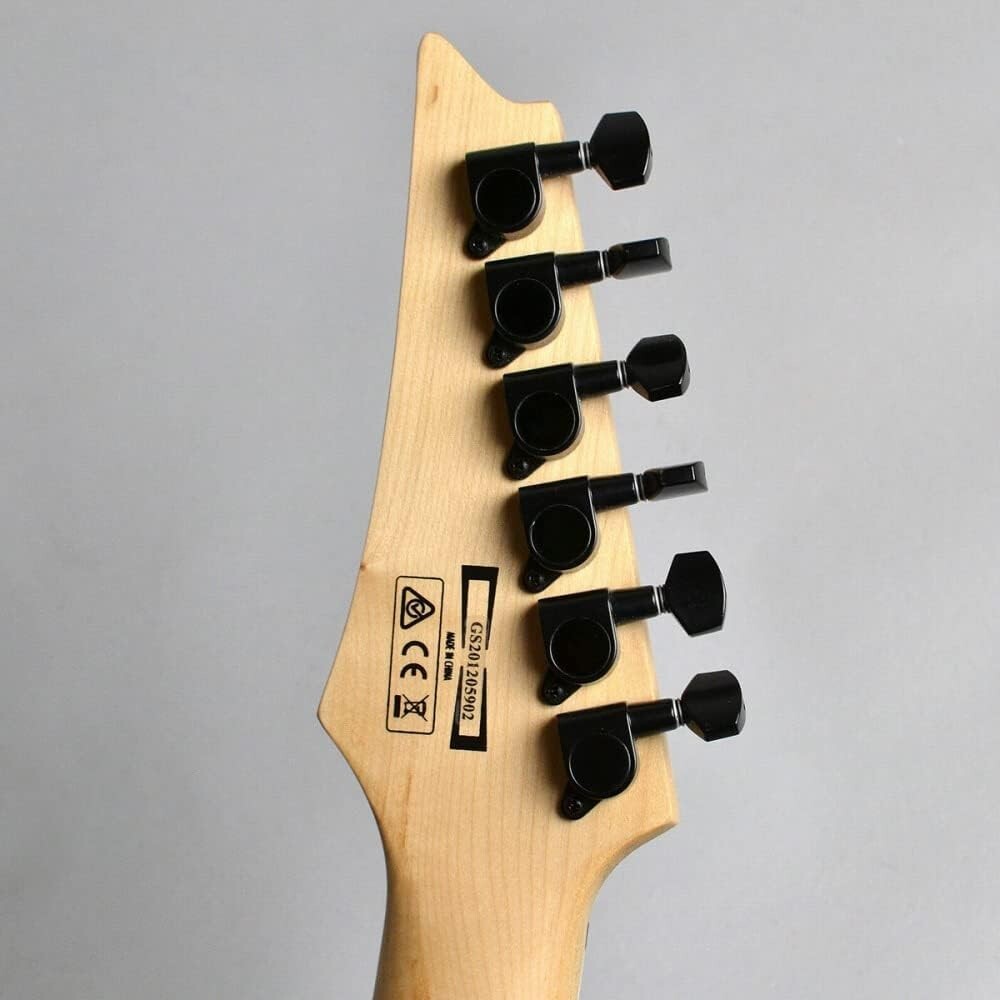 Ibanez RGV250ホワイト Ibanez RGV250 WH White Electric Guitar with Gig Bag From