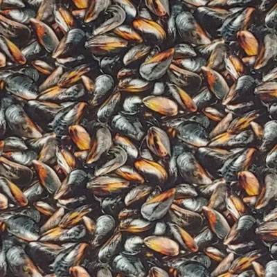 Seafood Fabric Mussels Shells  ELIZABETHs STUDIO Quilters Cotton HALF YARD BTHY