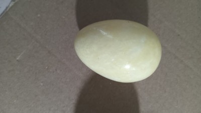 decorative egg