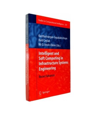 Intelligent and Soft Computing in Infrastructure Systems Engineering: Recent Adv