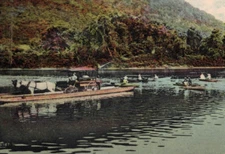 C1910 Fab Horses Carriage Riding Boat Manunkachunk Crossing Delaware River Color