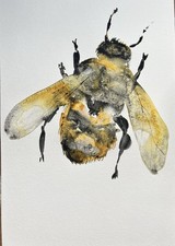 Quadro originale acquerello ape - A4