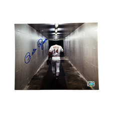 Pete Rose Hit King Autographed/Authenticated Walking Away 8x10 Photo