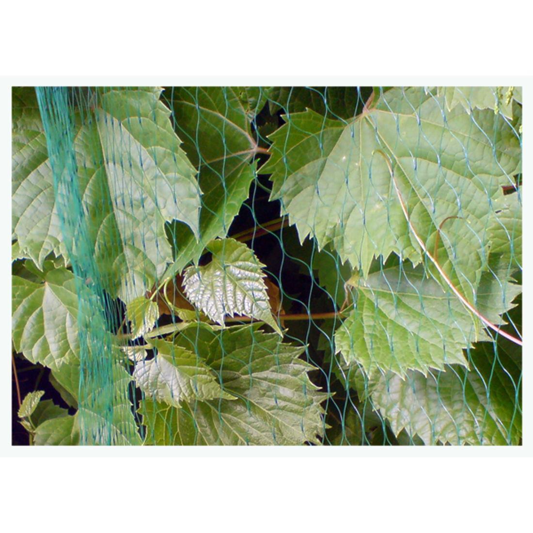 15*15M~Vogelschutznetz Teichnetz Obstbaumnetz Schutznetz Viele - Foto 11