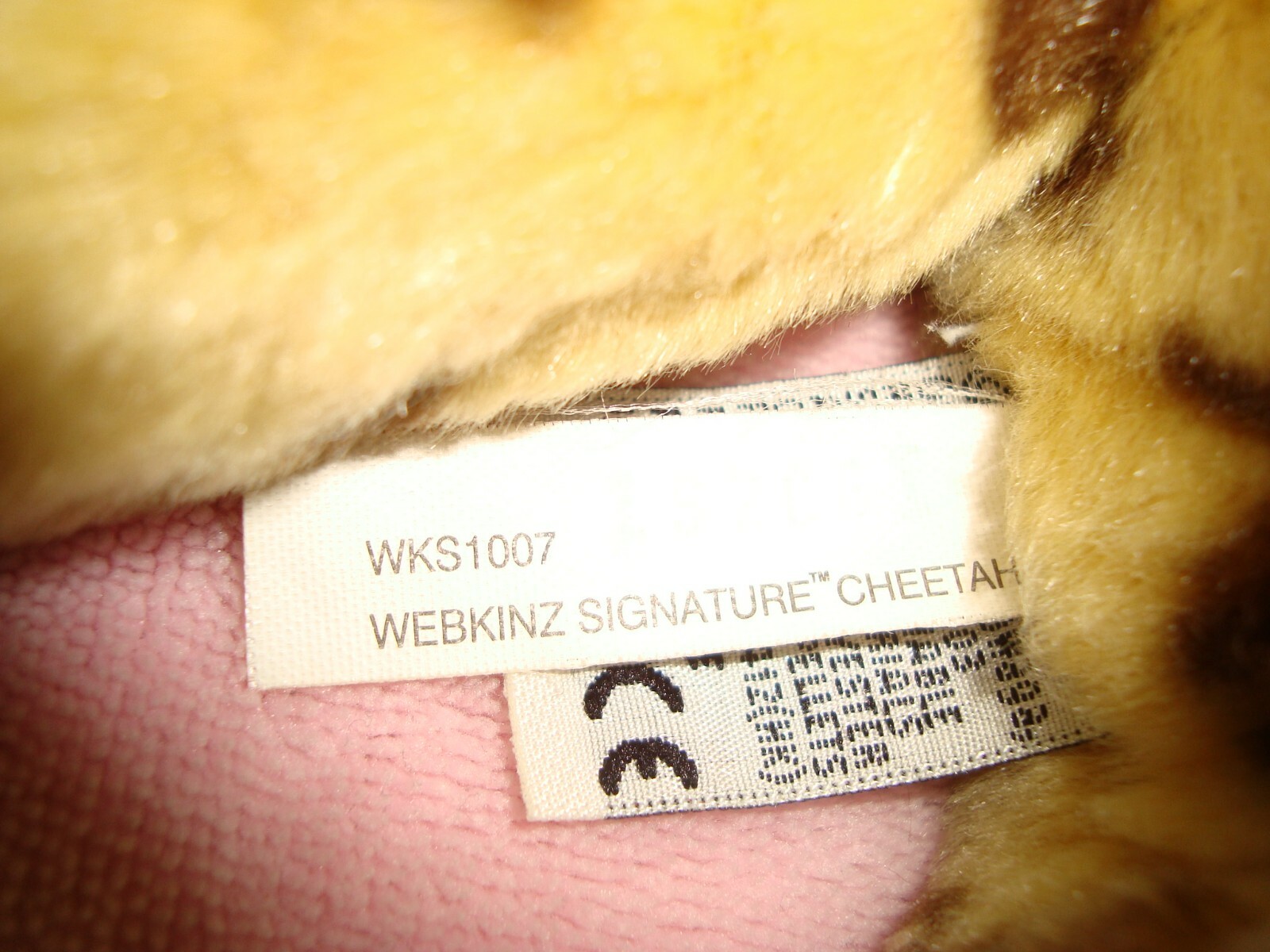 Picture 8 of 8
