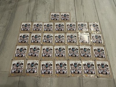 30 Packungen Edeka DFB Fußballkarten, Edition 2026 Panini