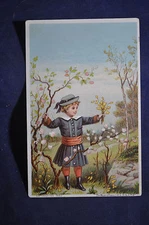 James Pyles Pearline Washing Compound Victorian Card