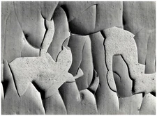 Pierre Antonini, peeling painting silver print 29x39.5 Circa 1970