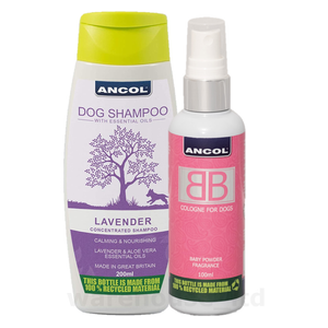 ancol dog shampoo