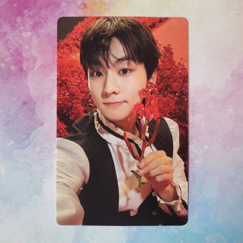 JUNGWON ENHYPEN DARK BLOOD Photo Card Mini Album Full Harf New