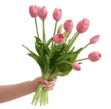 15 Pcs Deep Pink Tulips Artificial Flowers Faux Tulips Real Touch Latex Fake ...