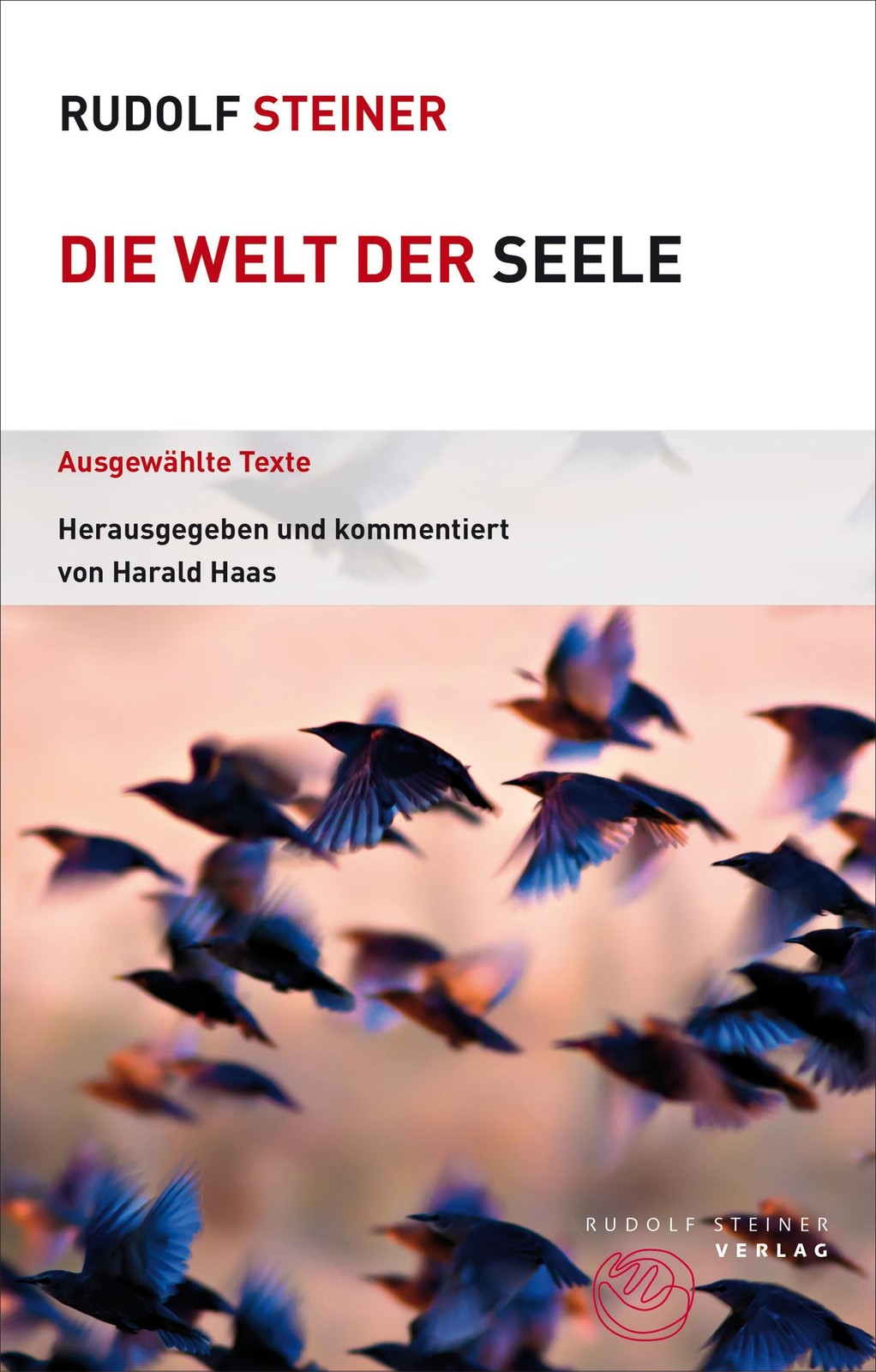 Die Welt der Seele Rudolf Steiner
