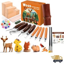 Wood Carving Kit for Beginners Alloy Steel Tools Paints Gift Set