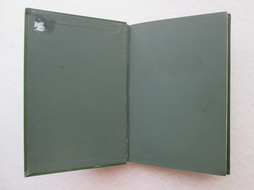 DIE NILBRAUT Roman von Georg Ebers 1887 HARDCOVER BOOK Text in German - Picture 10 of 11