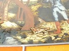 Bild 5 von 6