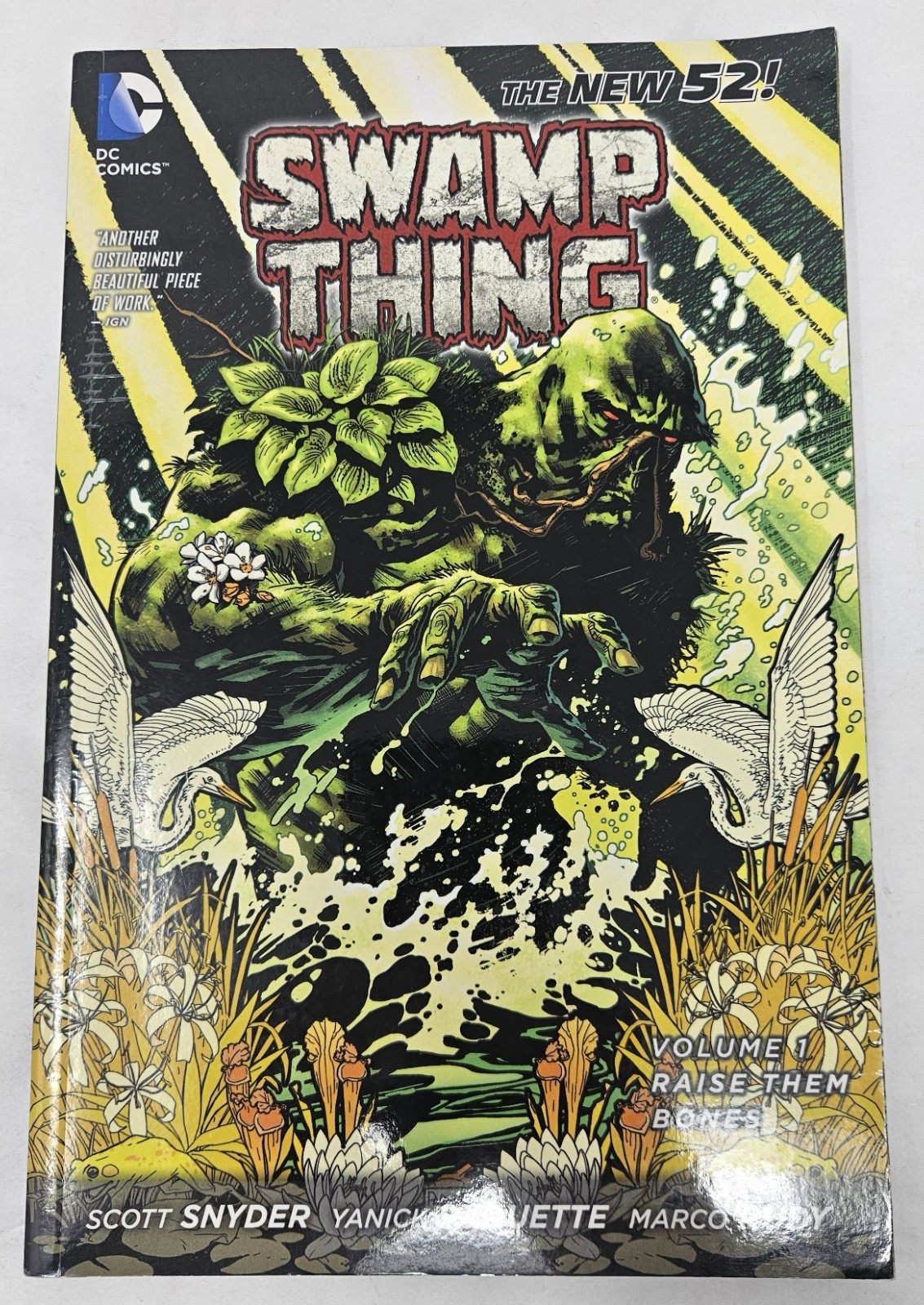 Swamp Thing Volume 1 Raise Them Bones DC Comics