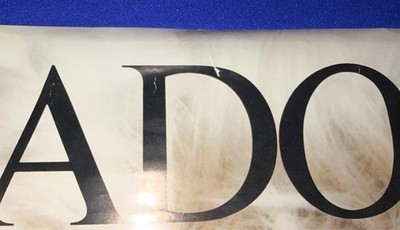 vintage 1987 Madonna Who's That Girl World Tour POSTER USED