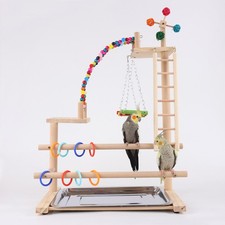 Pet Parrot Playstand Parrots Bird Playground Bird Play Stand Wood Perch Gym Pl .
