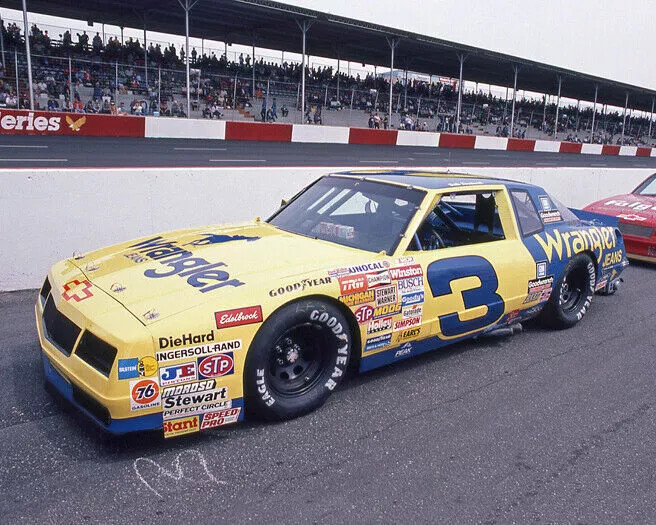 Stunning Dale Earnhardt Yellow Car Gallery