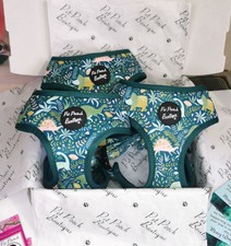 dinosaur dog harness