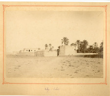 Algérie, Tolga (Biskra), Entrée  Vintage albumen print.  Tirage albuminé  17