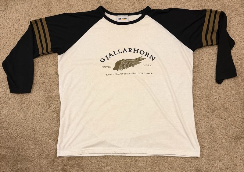 Destiny Gjallarhorn "Beauty in Destruction" 3/4 Sleeve Raglan T-Shirt
