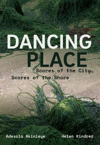 Dancing Place by Adesola Akinleye, Helen Kindred - 9781835951873 - Image 6