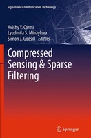 Avishy Y. Carmi (U. A.) | Compressed Sensing & Sparse Filtering | Taschenbuch
