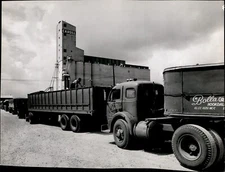 LG83 1958 Orig Oversize Photo NATION LARGEST WHEAT CROP BUMPER TO BUMPER CARGILL