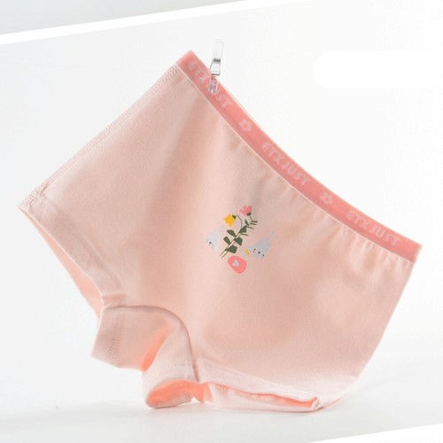 Girls Underwear Cotton Boxer Briefs Comfort Breathable Shorts Briefs For 2-16 YR - Picture 56 of 151
