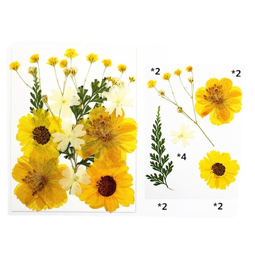 Real Dried Flower Natural Dry Plants Candle Epoxy Necklace Making Craft DIY - Picture 15 of 29