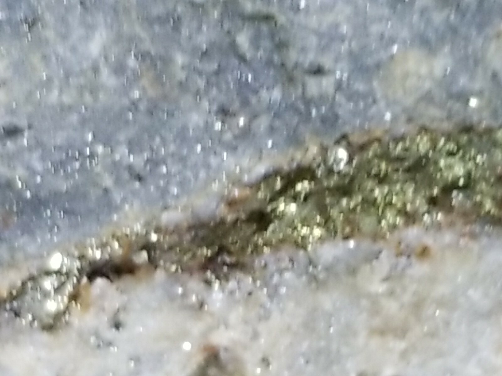 Amazing Colorado MOTHERLODE GOLD IN QUARTZ Ore Display specimen 7lb