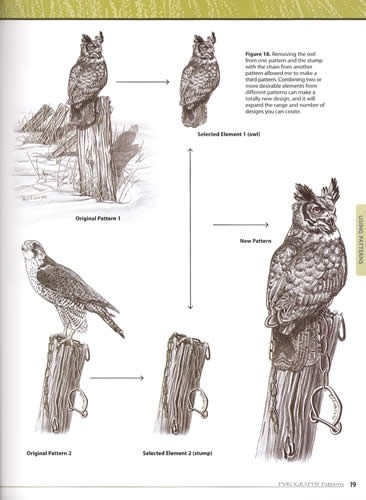 Pyrography Patterns 30 Wildlife Woodburning Designs, Basic Techniques ...