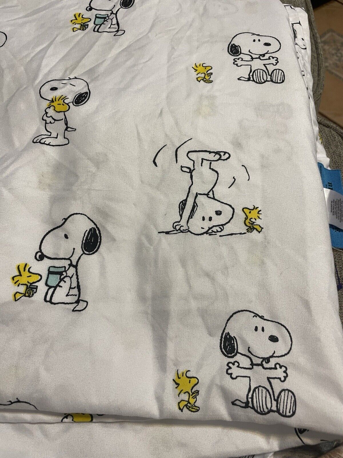 Foto 2 di 6
