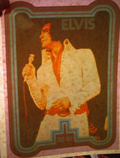 ELVIS IN CONCERT VINTAGE 1970's ROCK  ROLL IRON ON TRANSFER -NICE, B-18
