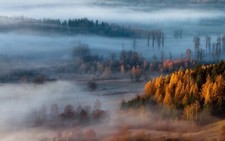 Landscape nature mist forest fall Custom Gaming Mat Desk