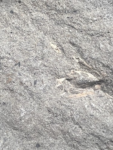 Rare Unprepared Crab in Nodule Cretaceous Age From Vancouver Island Canada - Picture 2 of 6
