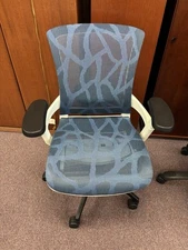 Raynor Skate Mesh Ergonomic