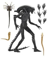Neca Alien: Romulus Ultimate Xenomorph XX121 7 Inch Scale Actionfigur