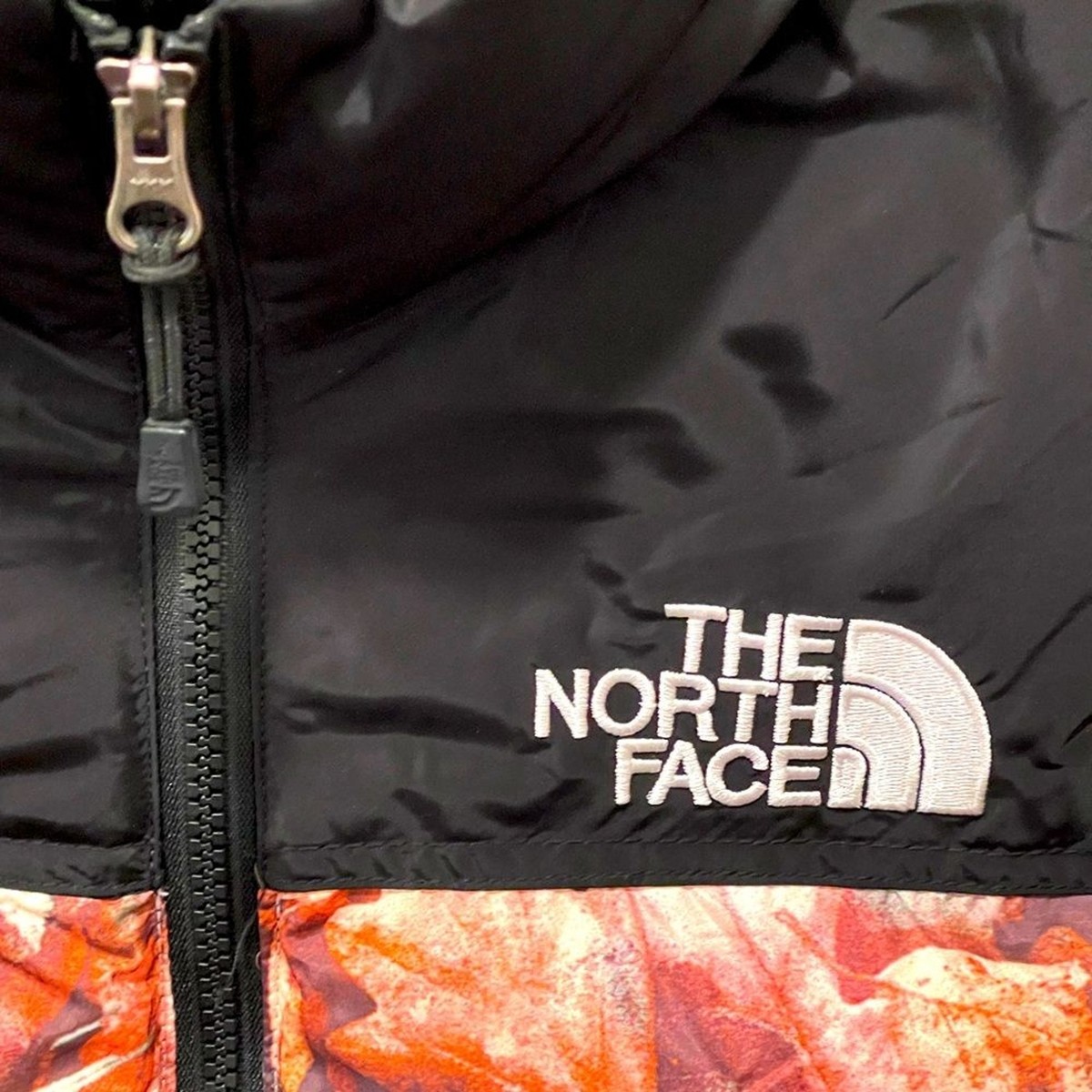 Rare Supreme X The North Face Nuptse “Leaves” FW16 700 Fill Ski