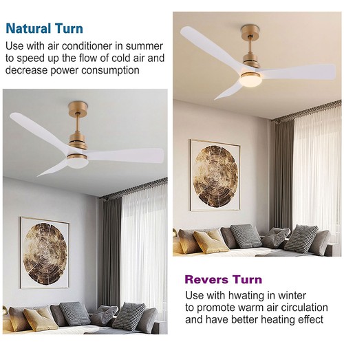 48 Inch Ceiling Fan Light Modern Chandelier Pendant Fan Lamp & Remote Control - Picture 11 of 18